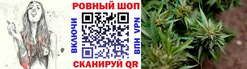 Как найти наркотики Александровское КОКАИН  Галлюциногенные грибы  Канабис  Гашиш 