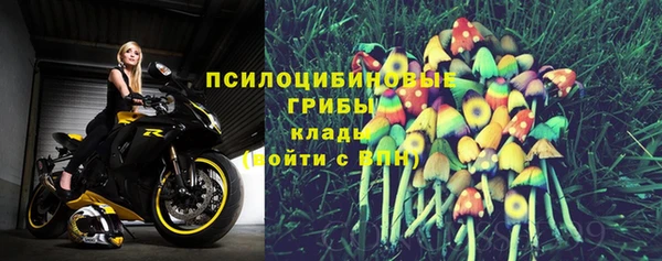 ешки Фёдоровский