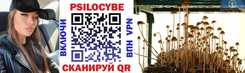 Галлюциногенные грибы прущие грибы  Александровское 